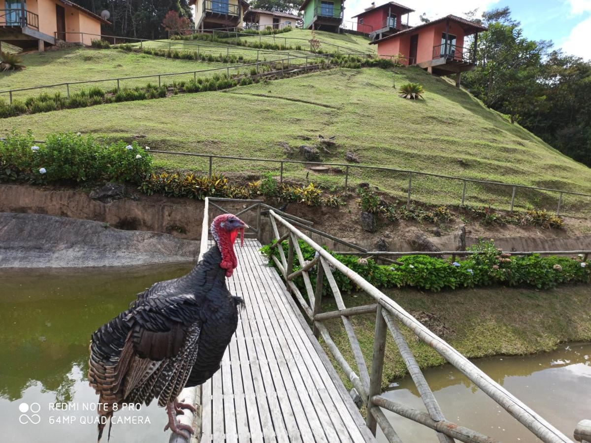 Pousada Espaco Da Onca Lumiar Bagian luar foto